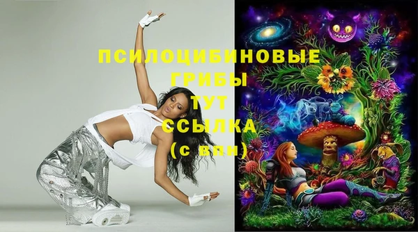 стафф Абдулино
