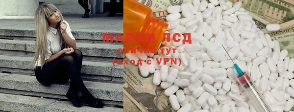гашик Горняк