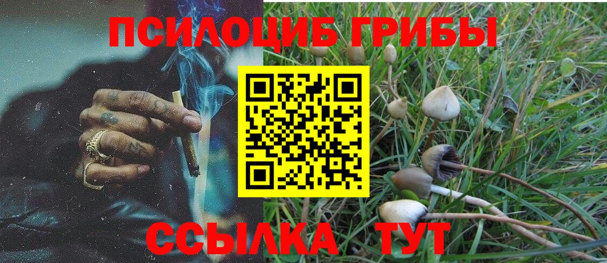 Псилоцибиновые грибы Cubensis  Вход с VPN  цена наркотик  Тавда 
