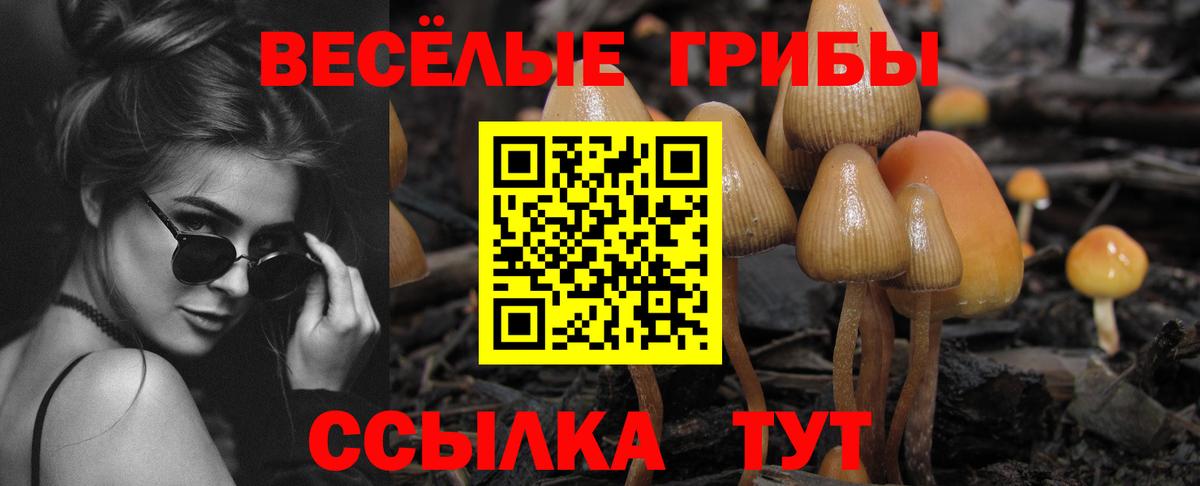 Галлюциногенные грибы Cubensis Тавда